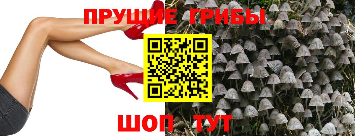 Псилоцибиновые грибы MAGIC MUSHROOMS  Вход с VPN  Надым 